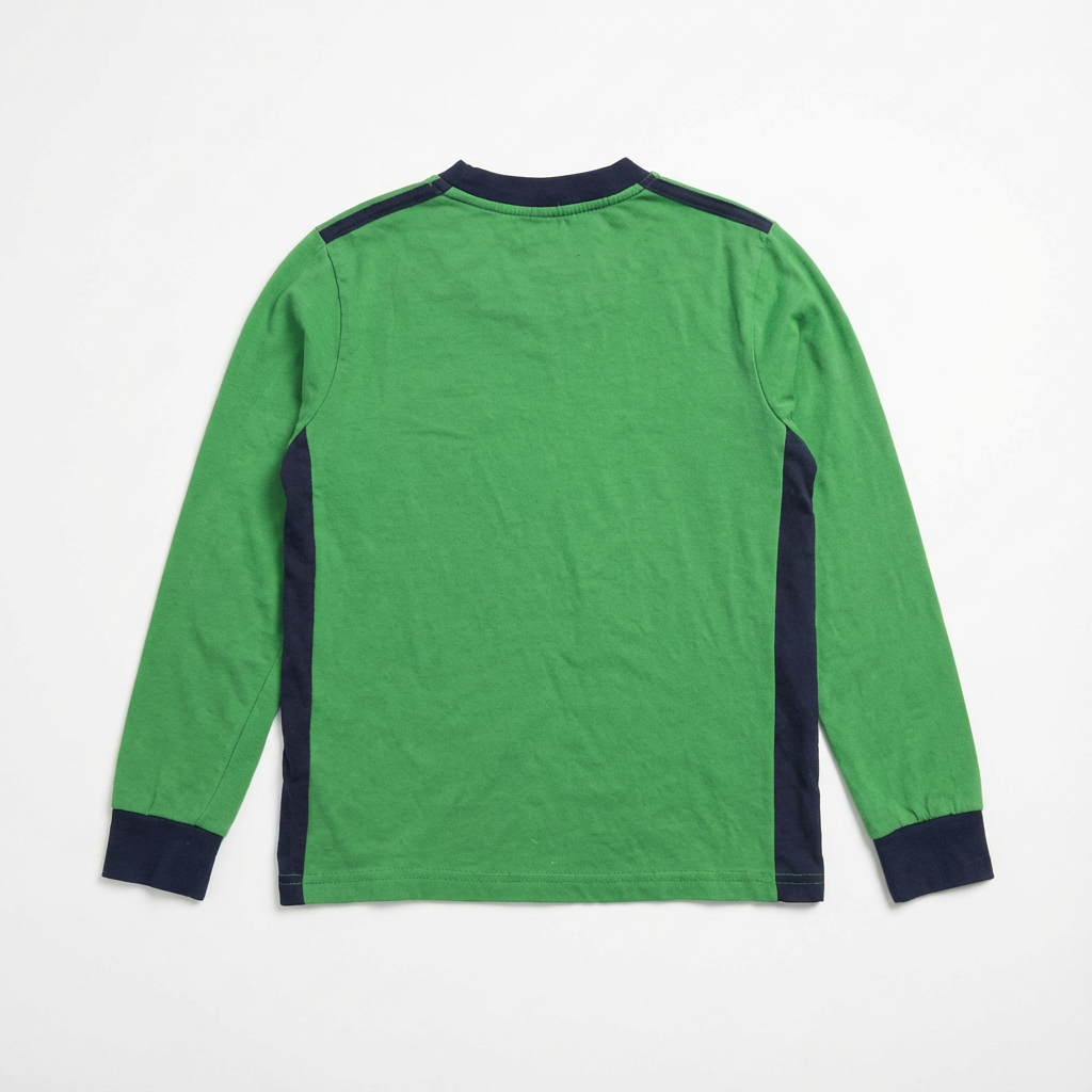 Polera manga larga Liceo Amanda Labarca